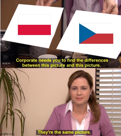 Expanze e-shopu na polský trh Meme: Firma po vás chce, abyste řekla rozdíly mezi těmito dvěma obrázky. Žena: - Je to stejný obrázek. Na obrázcích jsou česká a polská vlajka, které představují rozdíly mezi českým a polským trhem.